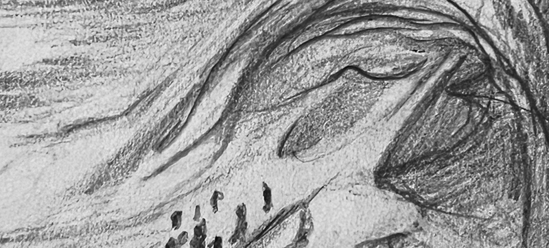 banner thumbnail sketches art director dune 