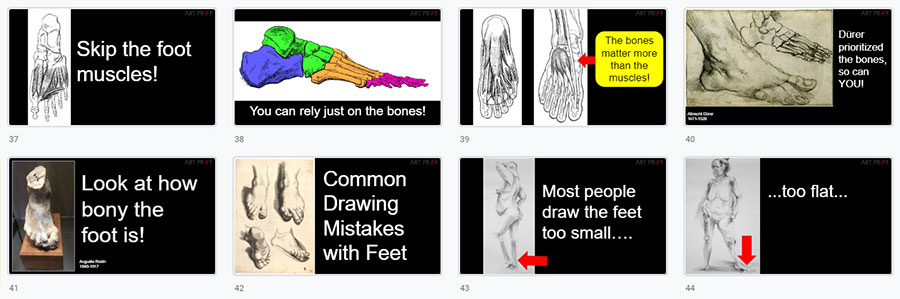 Anatomy for Artists: Slideshows