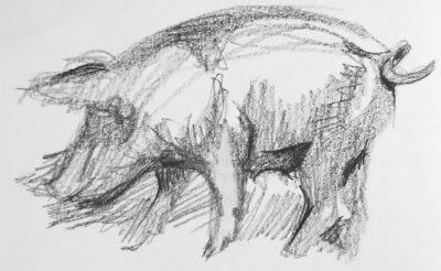 Drawing Basics Track: Animal Gesture Drawings