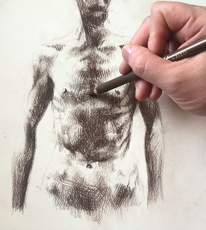 Drawing a Torso