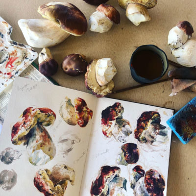 Painting Mushrooms in Watercolor, Clara Lieu