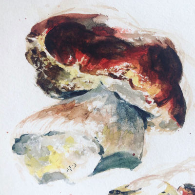 Painting Mushrooms in Watercolor, Clara Lieu