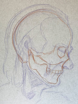 Portrait Track: Skull inside a Head Drawing