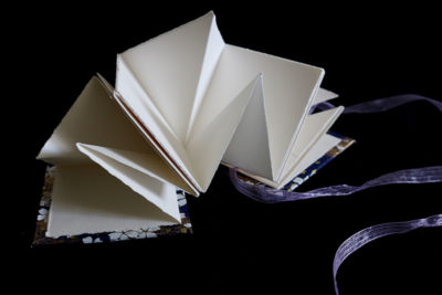 Lotus Meandering Artist Books