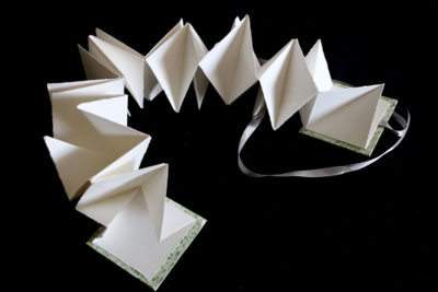 Lotus Meandering Artist Books