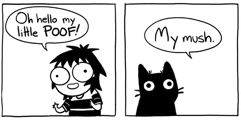 Sarah Andersen 