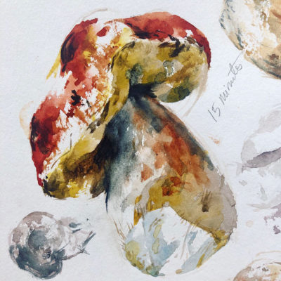 Painting Mushrooms in Watercolor, Clara Lieu