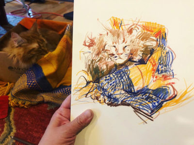 Gesture Drawing: Drawing Cats