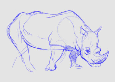 Animal Sketches: Elephants, Warthogs, Rhinos