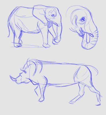 Animal Sketches: Elephants, Warthogs, Rhinos