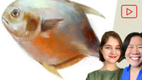 Adobe Fresco, Fish, Mia Rozear