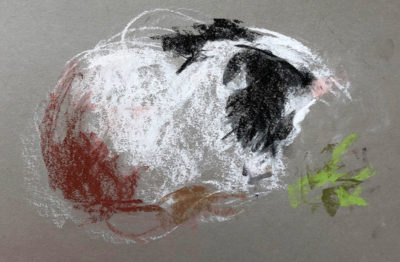 Soft Pastel Drawing: Guinea Pigs