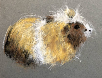 Soft Pastel Drawing: Guinea Pigs