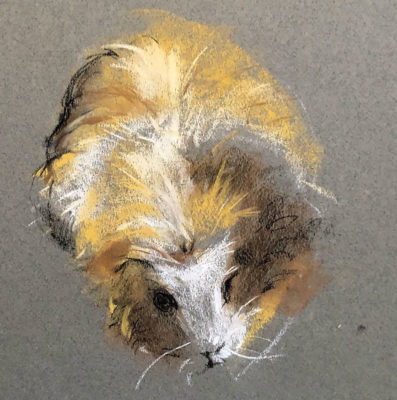 Soft Pastel Drawing: Guinea Pigs