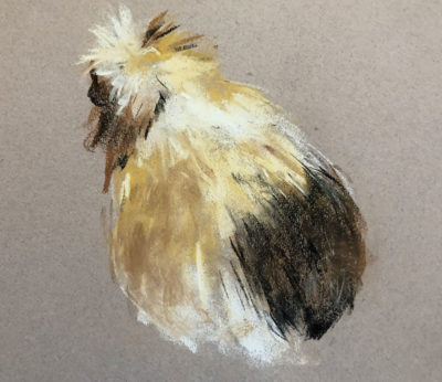 Soft Pastel Drawing: Guinea Pigs