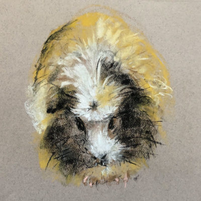 Soft Pastel Drawing: Guinea Pigs