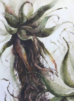 Plein Air Watercolor Painting at the Lisbon Botanical Gardens, Aloe