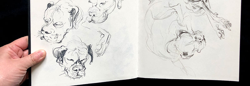 Sketchbook Prompts, banner