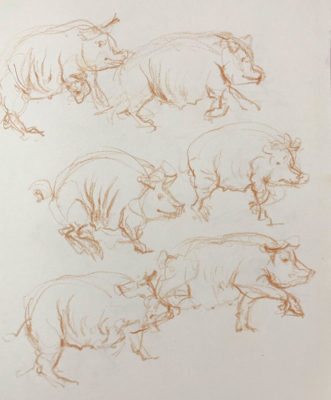 Muybridge Animals: Gesture Drawing