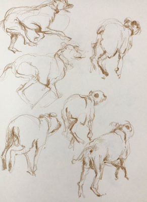 Muybridge Animals: Gesture Drawing