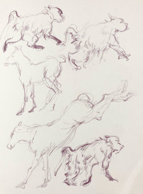 Muybridge Animals: Gesture Drawing