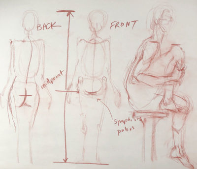 Figure Drawing: Proportions