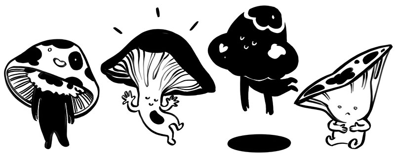 Mushroom Drawings, Mia Rozear, banner