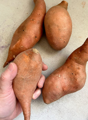 Carving a Sweet Potato, Clara Lieu