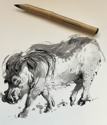 Animal Sketches: Elephants, Warthogs, Rhinos