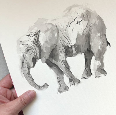 Animal Sketches: Elephants, Warthogs, Rhinos