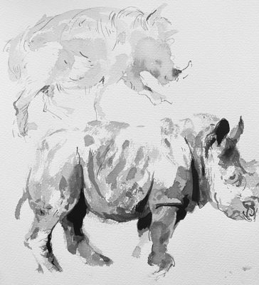 Animal Sketches: Elephants, Warthogs, Rhinos