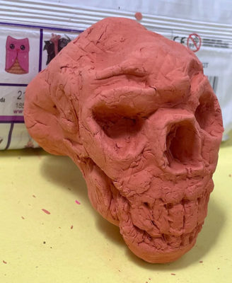 Sculpting a Skull with Air Dry Clay