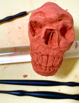 Sculpting a Skull with Air Dry Clay