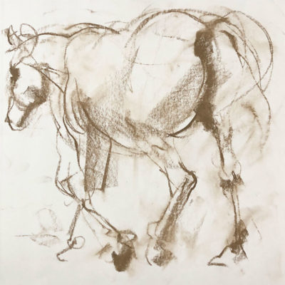 Gesture Drawing: Drawing Horses