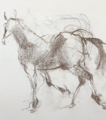 Gesture Drawing: Drawing Horses