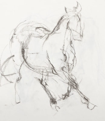 Gesture Drawing: Drawing Horses