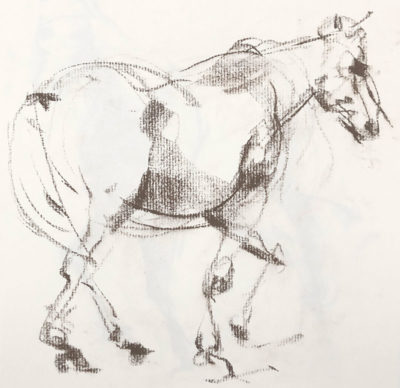 Gesture Drawing: Drawing Horses