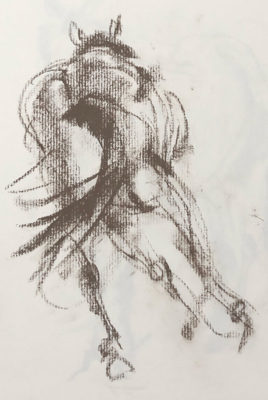 Gesture Drawing: Drawing Horses