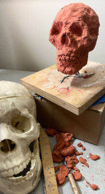 Sculpting a Skull with Air Dry Clay