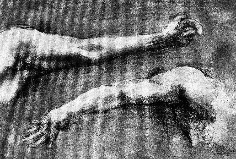 Charcoal Drawing: Arms