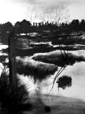 Wet charcoal landscape drawing