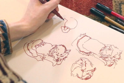 Gesture Drawing: Drawing Cats