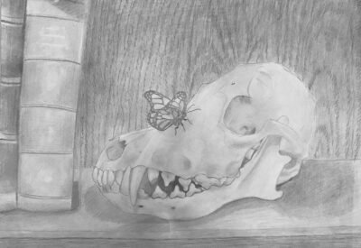 2023 April Art Dare: Bones