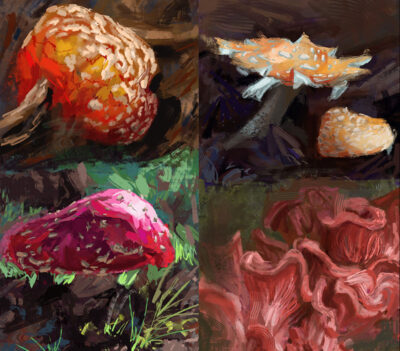 2023 February Art Dare, Mushrooms