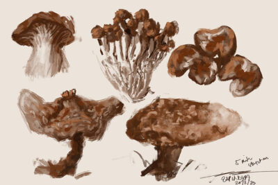 2023 February Art Dare, Mushrooms