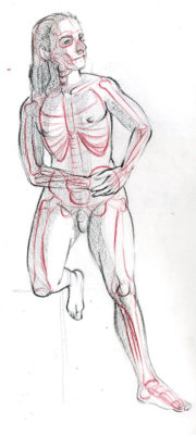 Artistic Anatomy: Drawing a Skeleton Inside a Figure