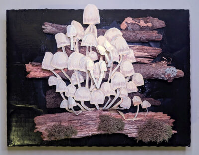 2023 February Art Dare, Mushrooms