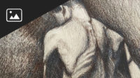 Anatomy for Artists: Torso Drawings