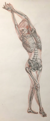 Artistic Anatomy: Drawing a Skeleton Inside a Figure